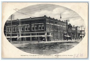 1910 North Chestnut Street Buildings Road Reed City Michigan MI Vintage Postcard