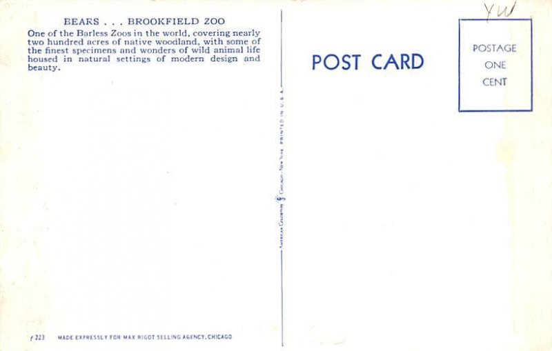 Bears Brookfield Zoo, Chicago, Illinois, USA Unused 