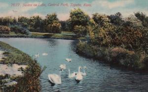 Kansas Topeka Swans On Lake In Central Park 1912