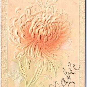 x2 LOT c1900s Custom Name Mable Mabel Postcards Mica Glitter Embossed Flower A72