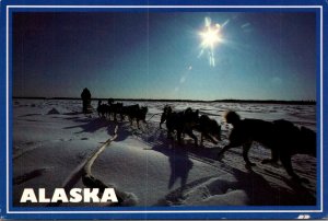 Alaska Arctic Alaska Sled Dog Team 1994