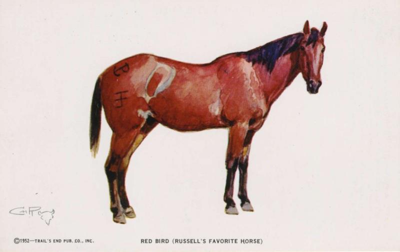 Red Bird Favourite Horse Charles M. Russell Artist CM Trails End Postcard D28