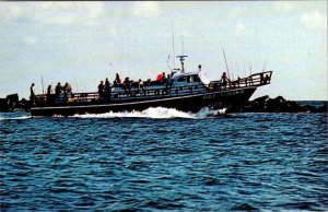 SC, South Carolina  GULF STREAM II  Charter Fishing Boat Advertising  Postcard