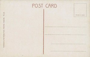 Great Rubber Tree, Bermuda, Early Postcard, Unused