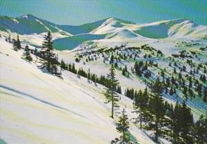 Canada Jasper Marmot Basin Ski Ressort Winter Scene