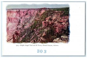 c1960s Bright Angel Trail And El Tover Grand Canyon Arizona AZ Embossed Postcard