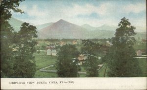 Buena Vista VA Birdseye View c1910 Postcard