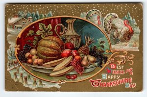 Thanksgiving Greetings Postcard Embossed Turkey Fruit Snow Village Holiday 1910