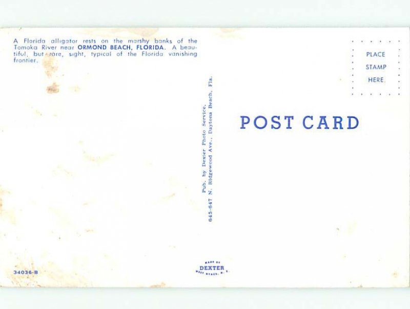 Pre-1980 RIVER SCENE Ormond Beach Florida FL AE5944