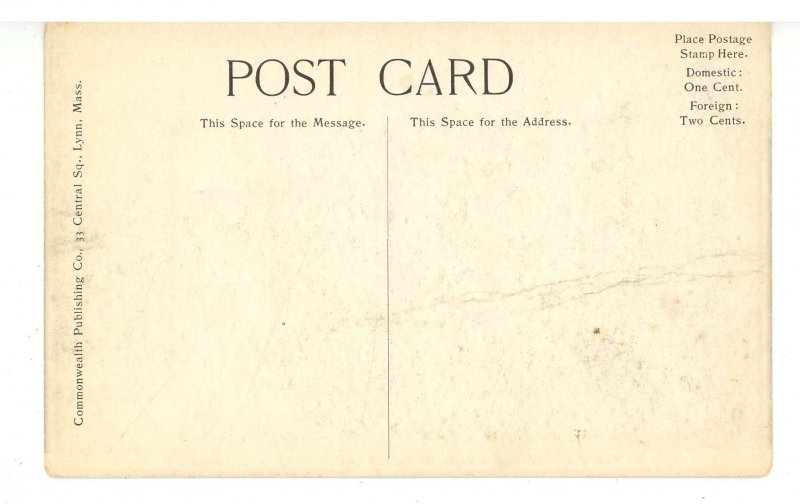 MA - Chelsea. Fire Ruins, April 12, 1908. View from Garden Cemetery (crease)