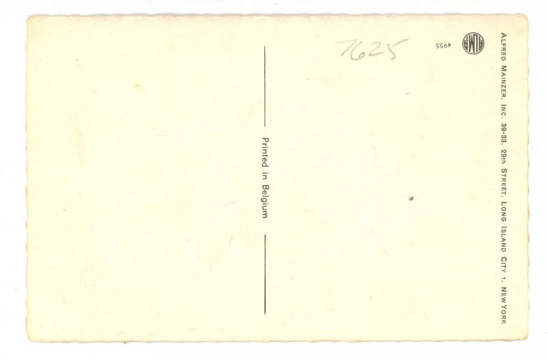 Mainzer Dressed Cats - Calamity