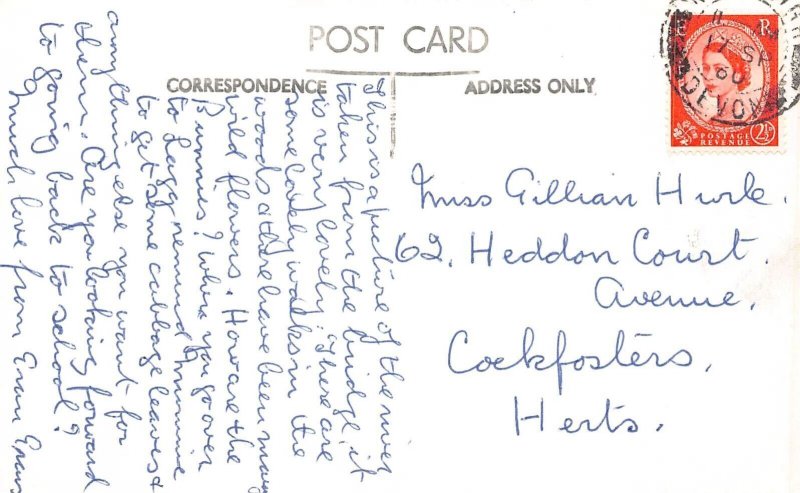 L243 England 1960 River Torridge Beaford vintage postcard