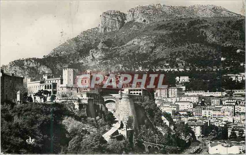 'Modern Postcard Monaco Palace of the Prince and the rock of the dog''s head'