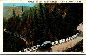 Vtg 1920s Through the Redwoods Santa Cruz Mountains California CA Postcard