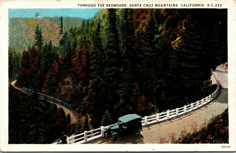 Vtg 1920s Through the Redwoods Santa Cruz Mountains California CA Postcard