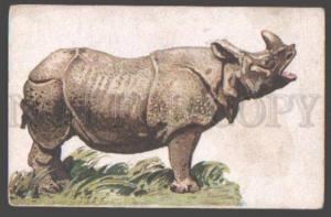 3098378 Indian RHINOCEROS vintage Russian RARE LITHO PC