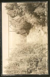 USA Agate Falls Ontonagon River Michigan Bridge Postcard