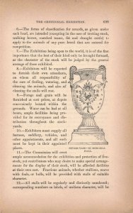 1876 Victorian Sevres Vase Engraving 2T1-57 