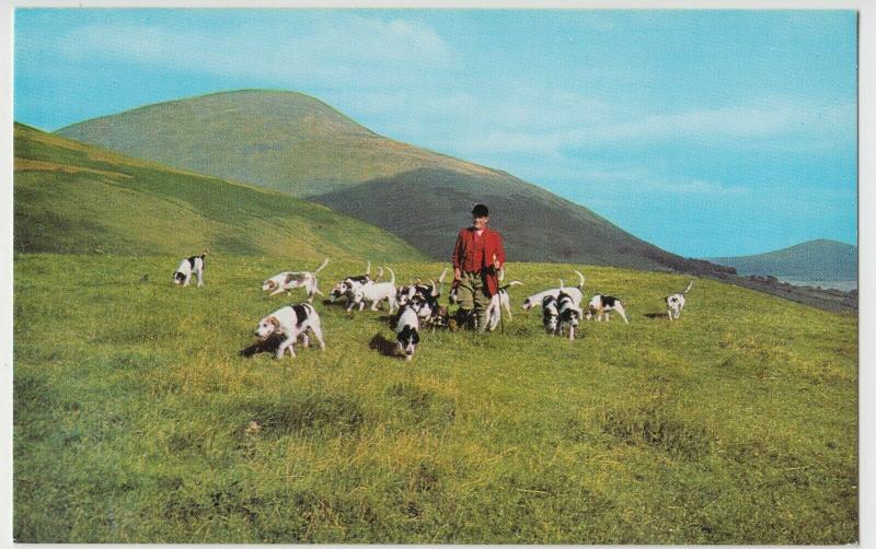 Social History; Blencathra Fox Hounds On Skiddaw PPC By Salmon, Unused, Hunting