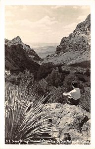 Real Photo Scene - Big Bend National Park, Texas TX