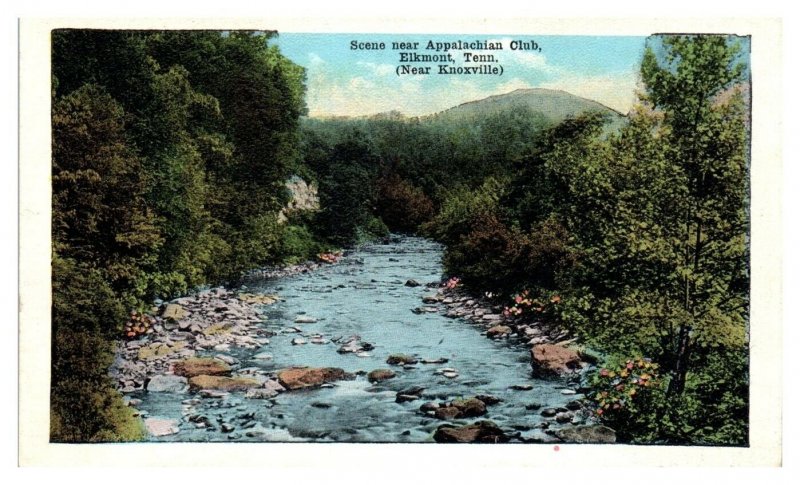 Scene near Appalachian Club, Elkmont, TN Postcard *5N(2)14