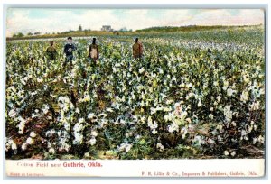 c1910's View Of Cotton Field Near Guthrie Oklahoma OK Posted Antique Postcard