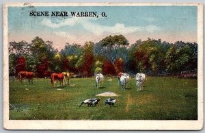 Warren Ohio 1917 Postcard Landscape Scene With Cattle Cows