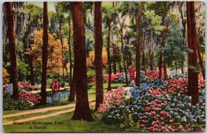Jacksonville Florida FL, 1955 Beautiful View, Oriental Gardens, Vintage Postcard