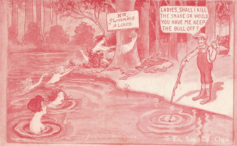 Vintage Postcard No Swimming Allowed Ladies Running From Snake Comic Card 