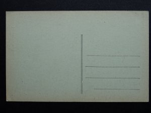 Algeria Algiers ALGER - RUE MICHELET c1905 Postcard by P.S.