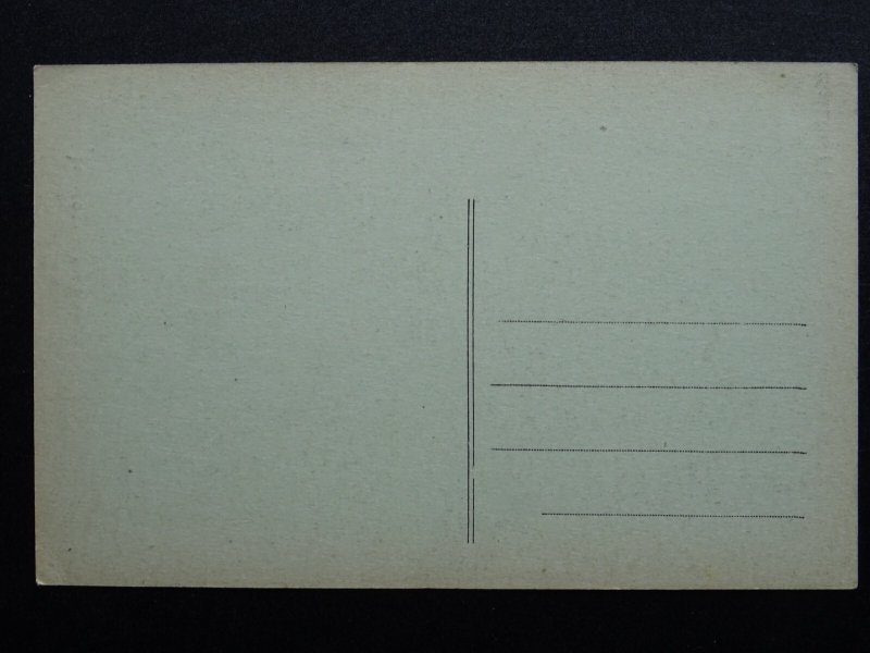 Algeria Algiers ALGER - RUE MICHELET c1905 Postcard by P.S.