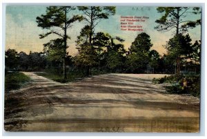 Savannah Georgia postcard Grand Prize Vanderbilt Cup Race 1911Auto Courage Turn