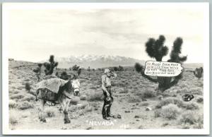 NEVADA DESERT VINTAGE REAL PHOTO POSTCARD RPPC PHOTOMONTAGE DONKEY collage