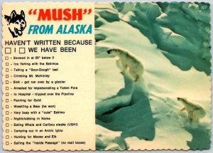 Correspondence Card Alaskan Polar Bear Mother Gods On Arctic Ice Flow Postcard