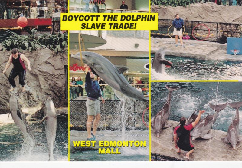 4 Views Boycott The Dolphin Slave Trade West Edmonton Mall Edmonton Alber Topics Animals Dolphins Postcard Hippostcard