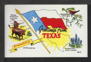 Greetings From Texas Postcard 