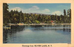 Silver Lake New York Waterfront Scene Linen Antique Postcard K38366