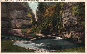 Vintage Postcard 1919 The Illinois Canyon Starved Rock Illinois State Park ILL