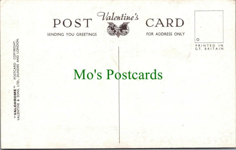 Lancashire Postcard - Blackpool Illuminations RS28974