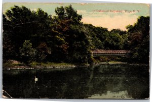 Postcard NY Troy Oakwood Cemetery swan swimming and bridge