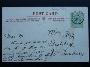 Herefordshire Ledbury ASHPERTON The Old Trumpet Inn c1908 Postcard Tilley & Son