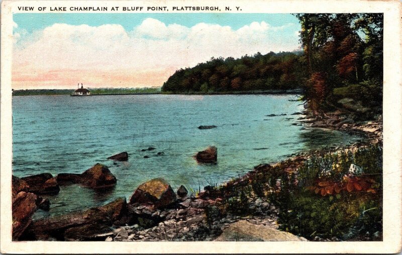 View Lake Champlain Bluff Point Plattsburgh New York Cancel Wob Postcard 