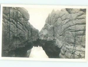 Old rppc NATURE SCENE Great Postcard AB0659