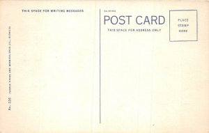 lot384 Bermuda A coral beach