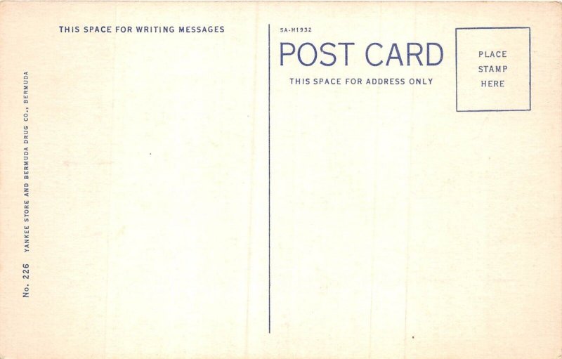 lot384 Bermuda A coral beach