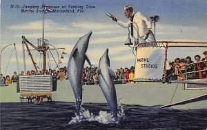 Jumping Porpoises at Feeding Time Marine Studios - Marineland, Florida FL  