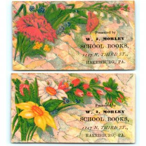 c1880s Harrisburg PA 3rd St WS Morley School Books Stock Trade Card LOT of 2 C13