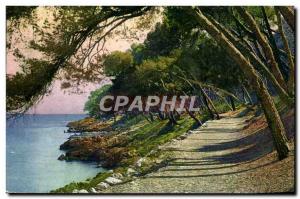 Old Postcard Les Pins in Cap Martin