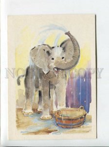 3094978 ELEPHANT in Water CIRCUS old Russian Coloeful Card