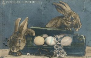 Circa 1910 RPPC Adorable Rabbits & Eggs E.A. Schwerdtieger Germany Postcard P1